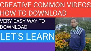 How to download creative common videos