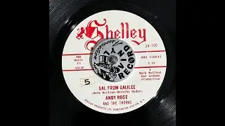 Andy Rose   Gal From Galilee