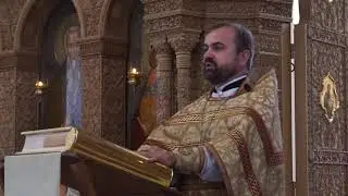 2017-08-13 нед.10-я. Проповедь о.Алексндра Сорокина на (Мф 17, 14-23):