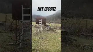 Life update! #hobbyfarm #homesteading #wnc #farmhouse