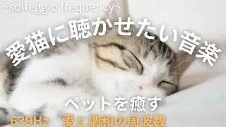 【愛猫に聴かせたい音楽】　639Hz　ペットに癒しを　心と体を癒し落ち着く周波数　ソルフェジオ周波数の魔法　リラックスできる音楽　自律神経を整え、心が落ち着く　ヒーリング　癒し　安心　睡眠　安らぎ
