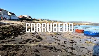 Spinning en Corrubedo - Jornada con lubinas y caballas