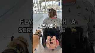 ПОЛЕТ С СОБАКОЙ-ПОМОЩНИКОМ 🦮 #собаки-поводыри #путешествия #инвалидность
