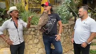 TIRINGA COMPARA CORUJA BULBO BULBO A RENATA DO PROGRAMA DO RATINHO 😂 | COM&Eacute;DIA SELVAGEM &reg;