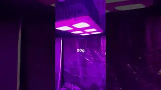 Cu&aacute;nto me dan mis l&aacute;mparas led Indoor