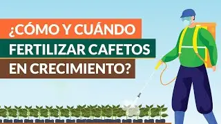 Nutrición para plantaciones Café en Desarrollo