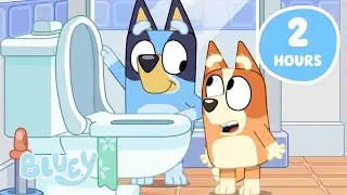 Bluey Full Episodes 🎨 Fun Learning & Nursery Rhymes for Kids