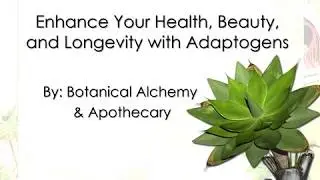 Adaptogens course