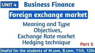 Foreign Exchange Market: Meaning, Types, Objectives & Hedging | Business Finance Unit 4