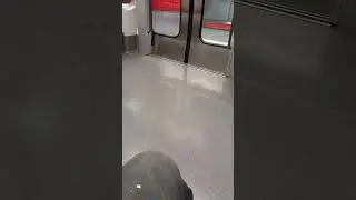 Fermeture Rapide des portes d'un MPL75 sur la ligne A du M&eacute;tro.