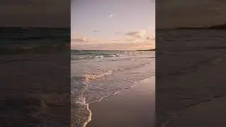 XO cover by Trisha