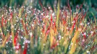 Chillout Spring Mix 2015