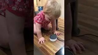 Alexa play baby shark