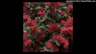 ┌free┘ juice wrld x nick mira x piano type beat 