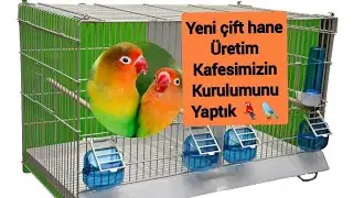 Çift Bölmeli Üretim Kafesi Kurulumunu Tamamladık (65 cm)