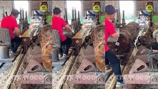 How To Cutting Wood Professionally EP701
