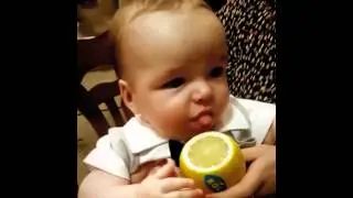 Тимоша и лимон 🍋  (Created with @Magisto)