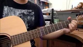 Beatles Acoustic cover: Dig a Pony