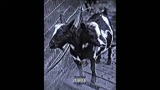 JayTee Ft Big B - 2 Headed Goat [Official Audio]