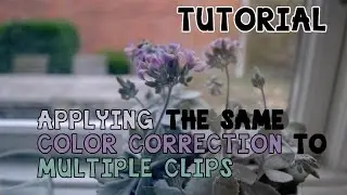 Final Cut Pro X - How to Apply the Same Effect on All Clips (COPY AND PASTE EFFECTS)