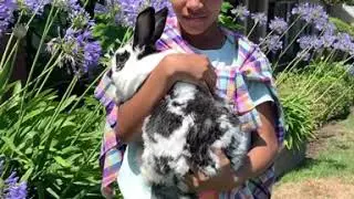 Our very first bunny adoption! ❤️🐰❤️