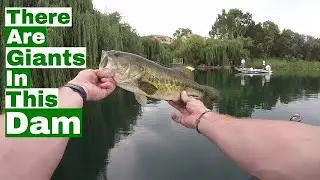 Best Bass Fishing Dam In Johannesburg Ever!! (Diawa Tatula SV TW 103SH Baitcaster And Rod Review)