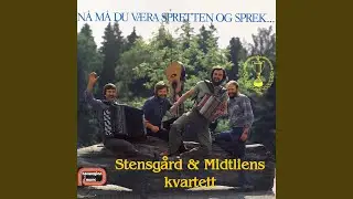 Go'leiken &Aring;t S&aelig;tra - Etter Ole S&aelig;ter