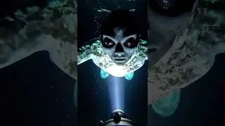 🫣 Missing Diver Footage Reveals Strange Sea Entity 🌊 | Investigation Report