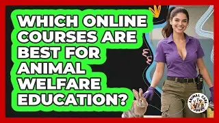 Which Online Courses Are Best For Animal Welfare Education? - Animal Care Jobs