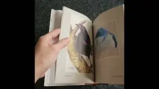 A Beautiful Gift: The Backyard Bird Chronicles by Amy Tan