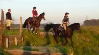 5 years- our development