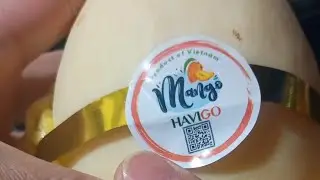 Vietnam pale mango taste test! lets peel and cut!
