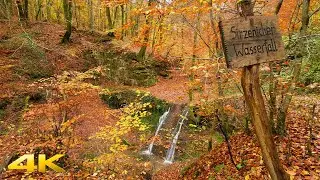 Sirzenicher Wasserfall Trier Autumn River Walk Germany 4K