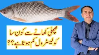 Fish Benefits | Fish for Heart Diabetes Personal | Can a Pregnant Woman take Fish | Best Fish