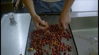 Nespresso - The community mill