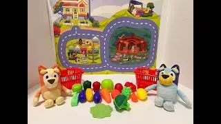 Bluey and Bingo learn about colours!