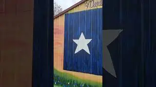 texas murals by #SprflsArt