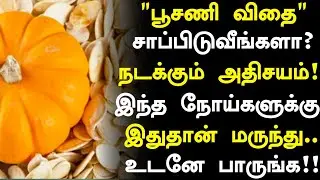 பூசணி விதை நன்மைகள்!!! | Pumpkin Seeds Health Benefits in Tamil| Health Tips in Tamil 