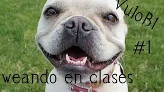 Weando en clases #1 ELMORMON