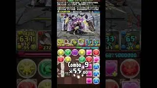 【年末年始チャレンジ】スターアンドストライプ×ベストジーニスト