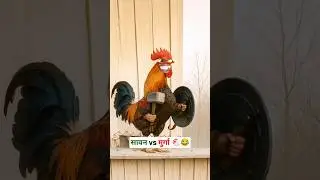 सावन vs मुर्गा 🐔😂🤣 #funny #thetharpuns #aalupyajjoke #comedy