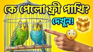 কে পেলো ফ্রী পাখি  😲 দেখে নিন 😲 @মনুরপাখি 