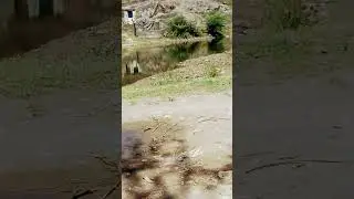 🤣😱🙏 #techkishan #nature #kishan #badboy #viralvideo #village #technicalkishan #travel #badboystyle