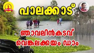 കൊല്ലങ്കോട് മാത്രമല്ല ഇനിയും കാണാനുണ്ട് പാലക്കാട്  | Beautiful remote villages in Palakkad
