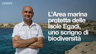 L&rsquo;Area marina protetta delle Isole Egadi, uno scrigno di biodiversit&agrave;
