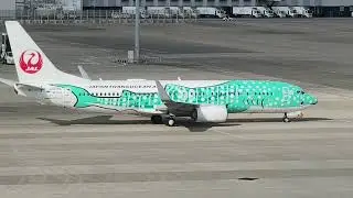 中部国際空港 日本トランスオーシャン航空 那覇－中部 ボーイング737-800 JA07RK 「結ジンベエ」特別塗装機 2026年1月21日
