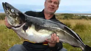 POLLACK - Angeln in Norwegen - Wędkarstwo w Norwegii - Fishing in Norway