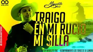 Miguelito D&iacute;az - Traigo en mi Canto (V&iacute;deo Letra)
