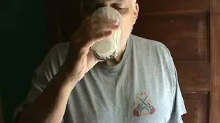 Sunflower Seed Milk