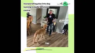 Incorporating play into dog training to build bond and control